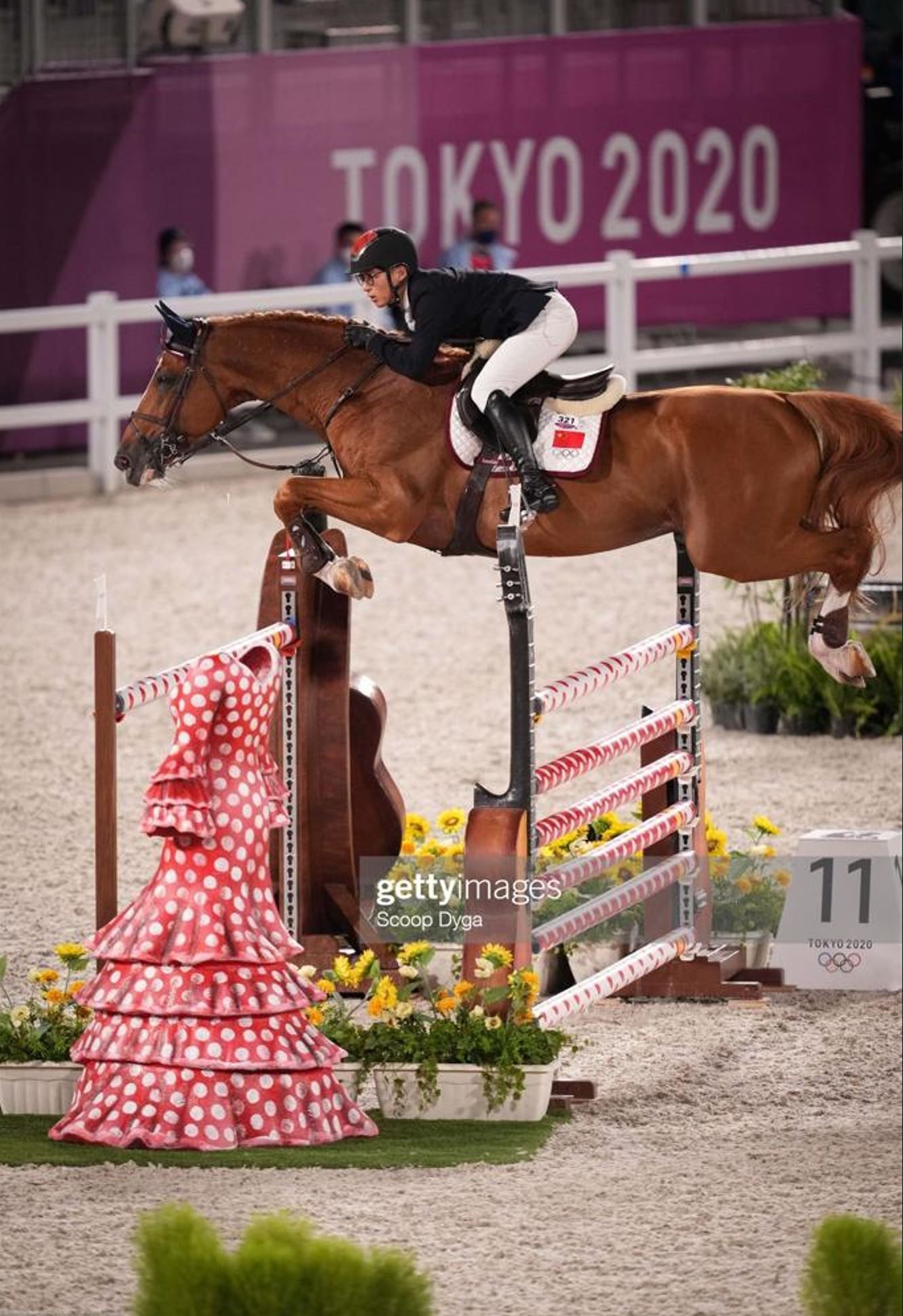 Dekhengst / breedingstallion / Springpaard / showjumper For Passion d'Ive / Olympische spelen / Olympics - ive horses - stal d'Ive