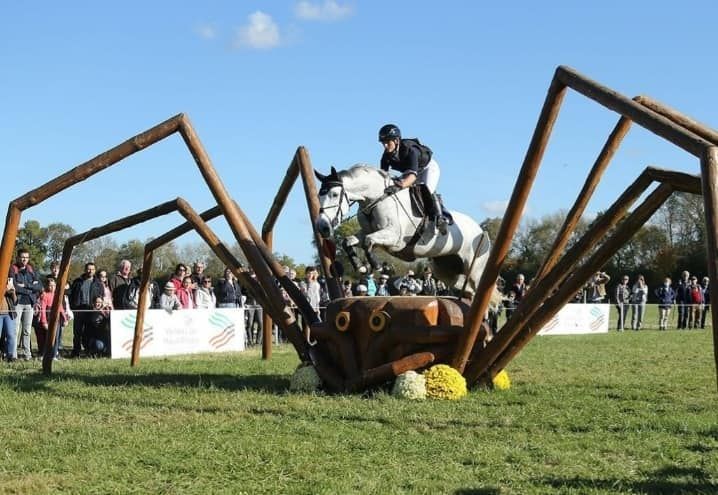 Crosspaard / Crosscountry Grey Twist d'Ive op wereldkampioenschap jonge paarden Mondial du Lion - ive horses - stal d'Ive