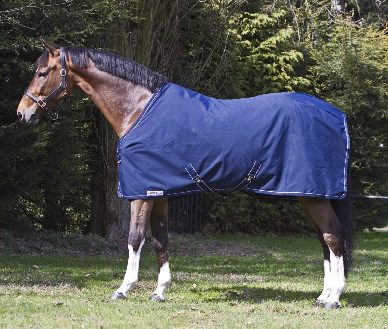 Dominick paardendekens. d'Ive-horsecare