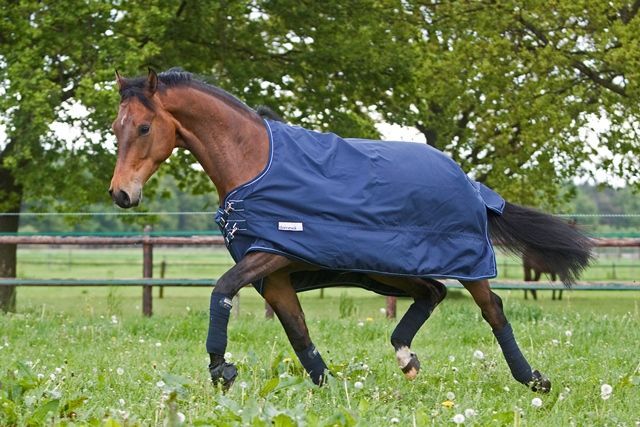 Dominick paardendekens waterdicht deken. d'Ive-horsecare