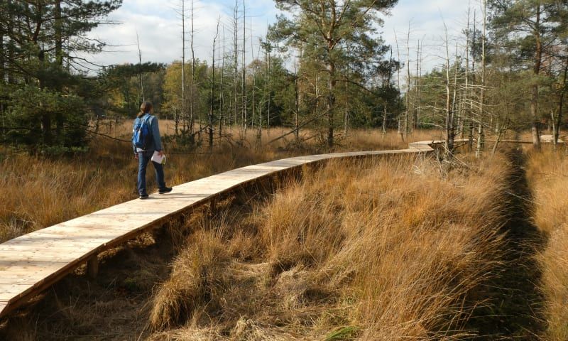 Stippelberg Natuurmomenten