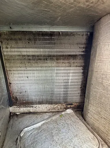 Dirty industrial vent or duct interior with a grimy metal grille and debris at the bottom