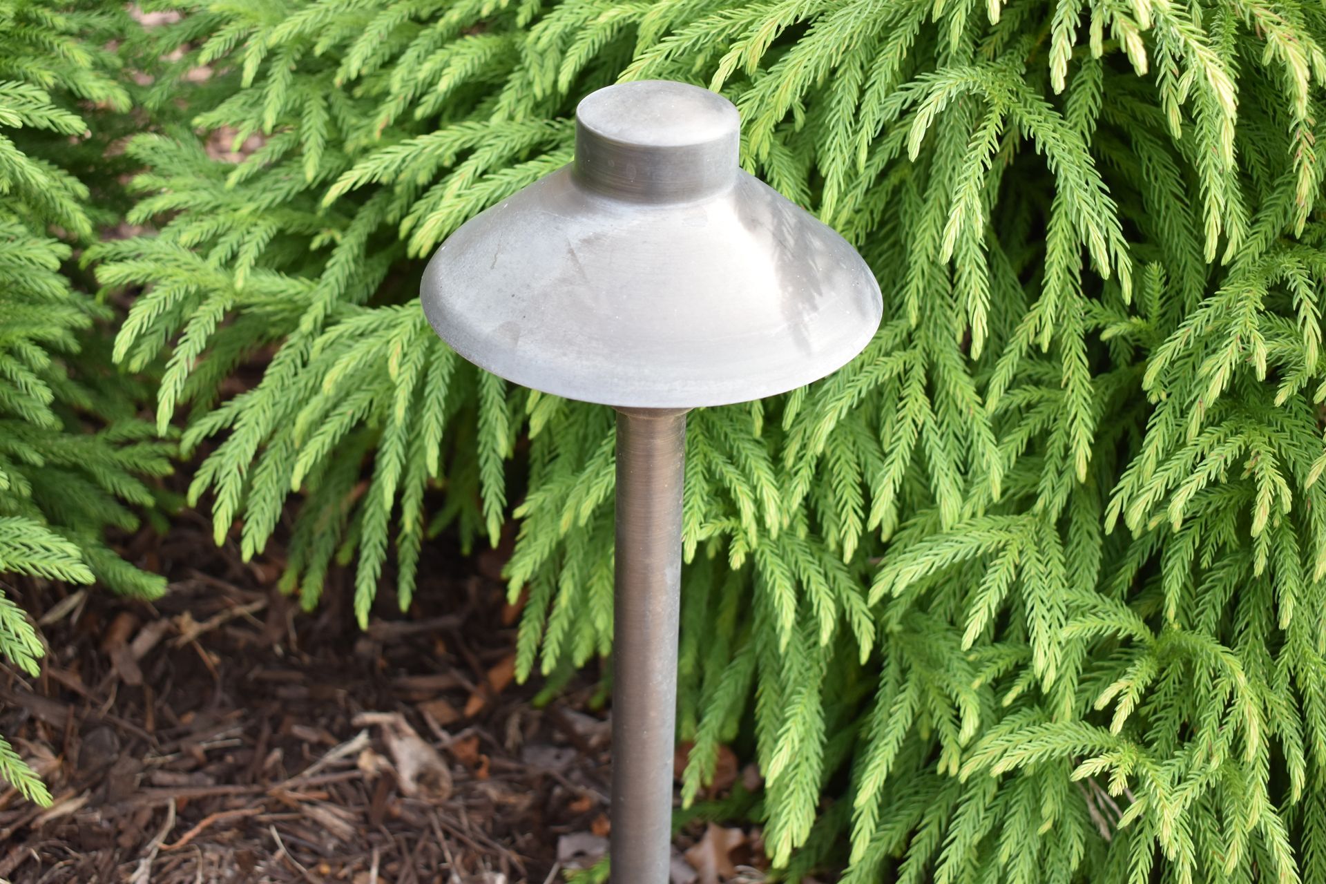 Outdoor Lighting Installation