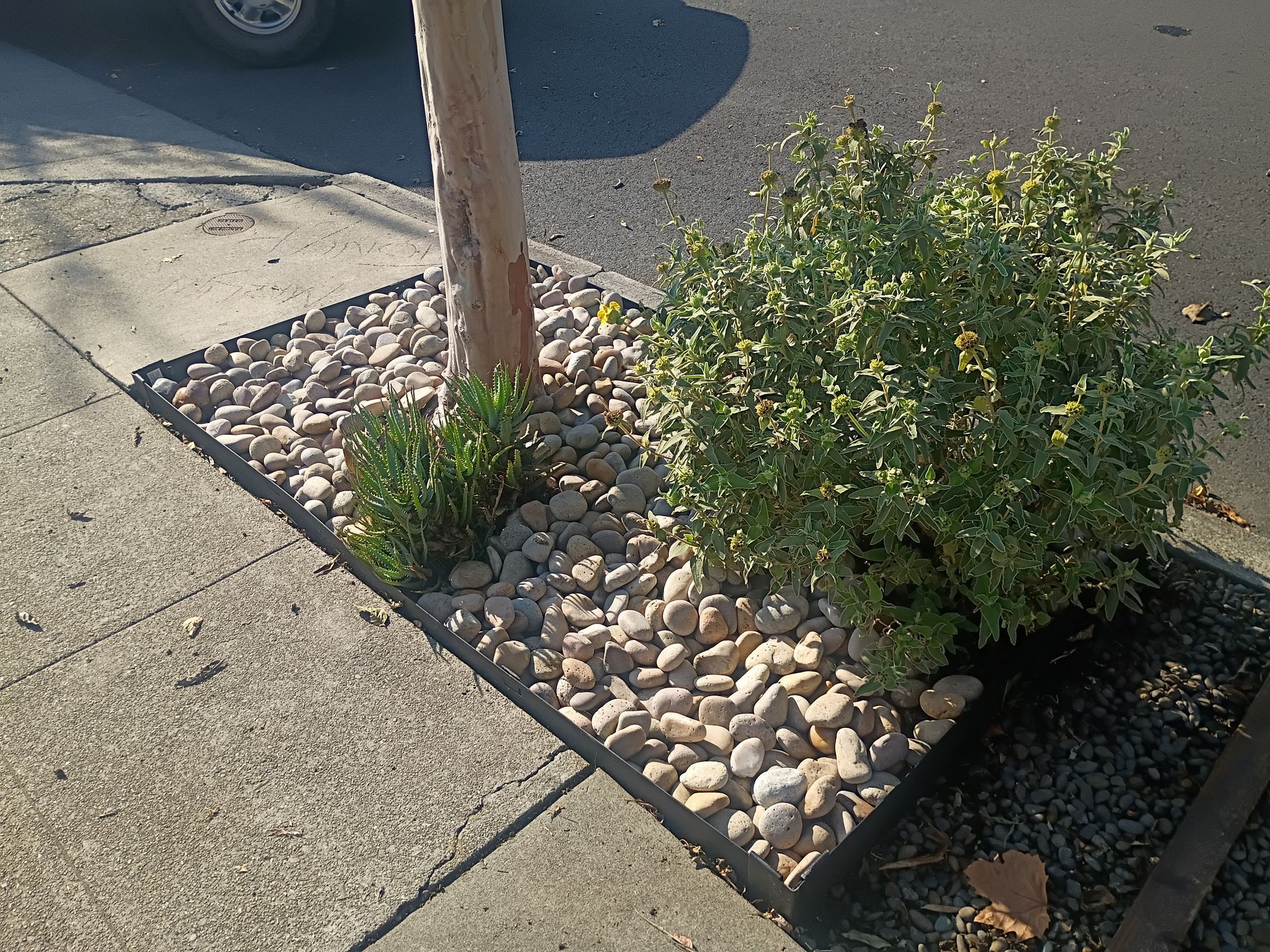 marin-county-handyman-services-gallery-image