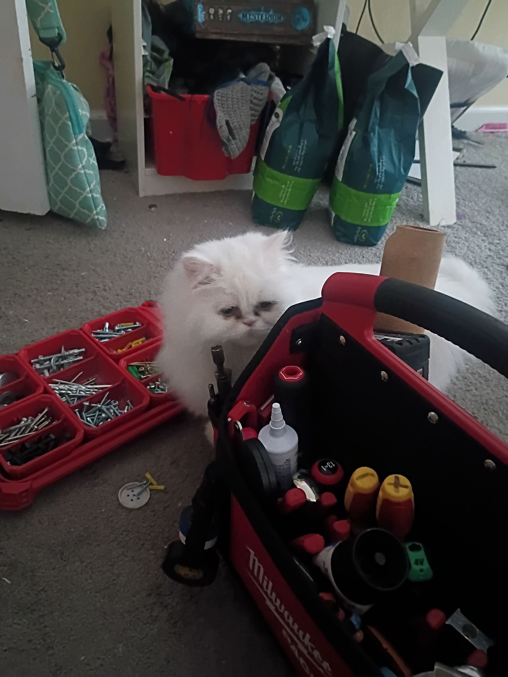 marin-county-handyman-services-gallery-image