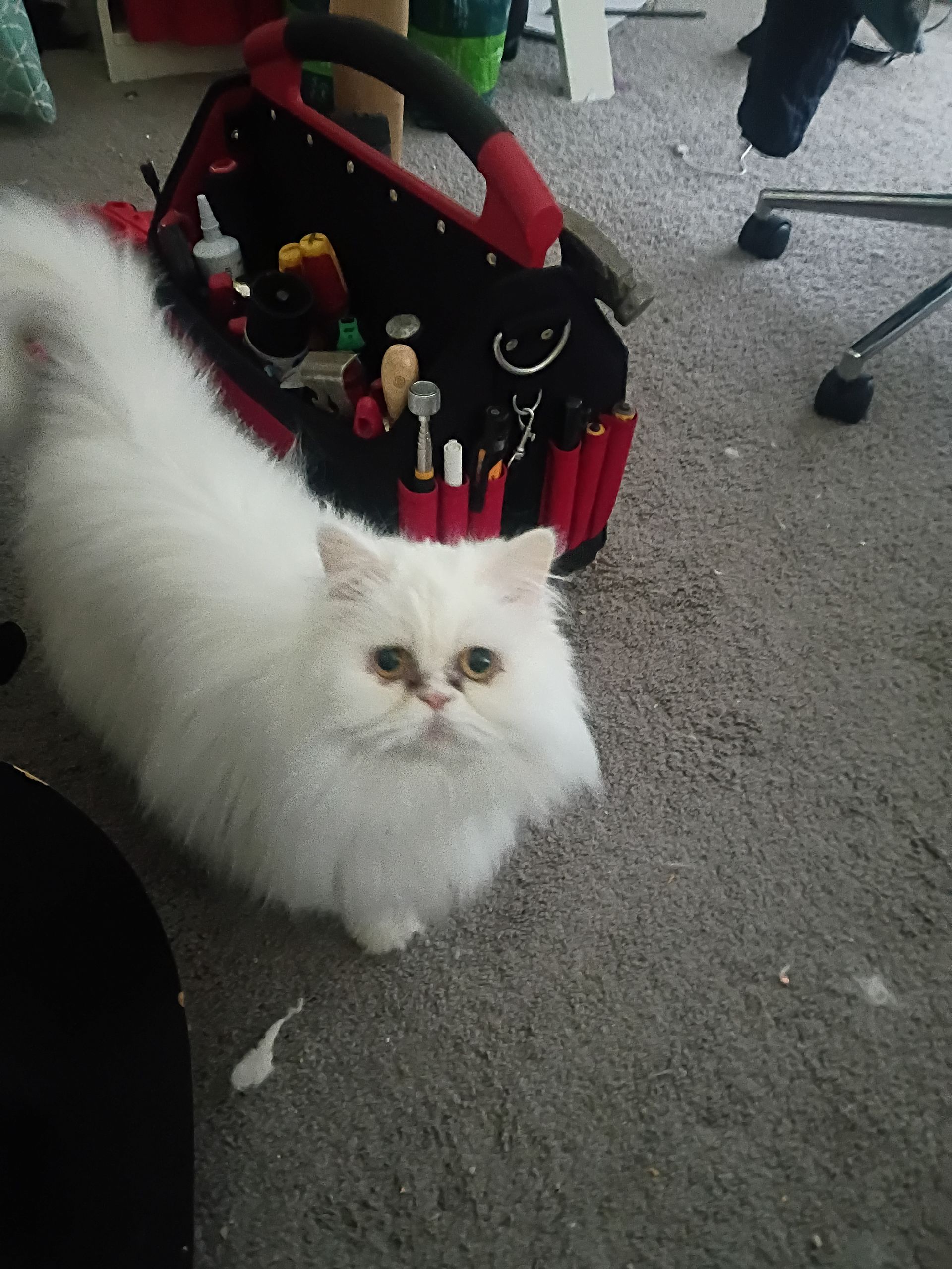 marin-county-handyman-services-gallery-image