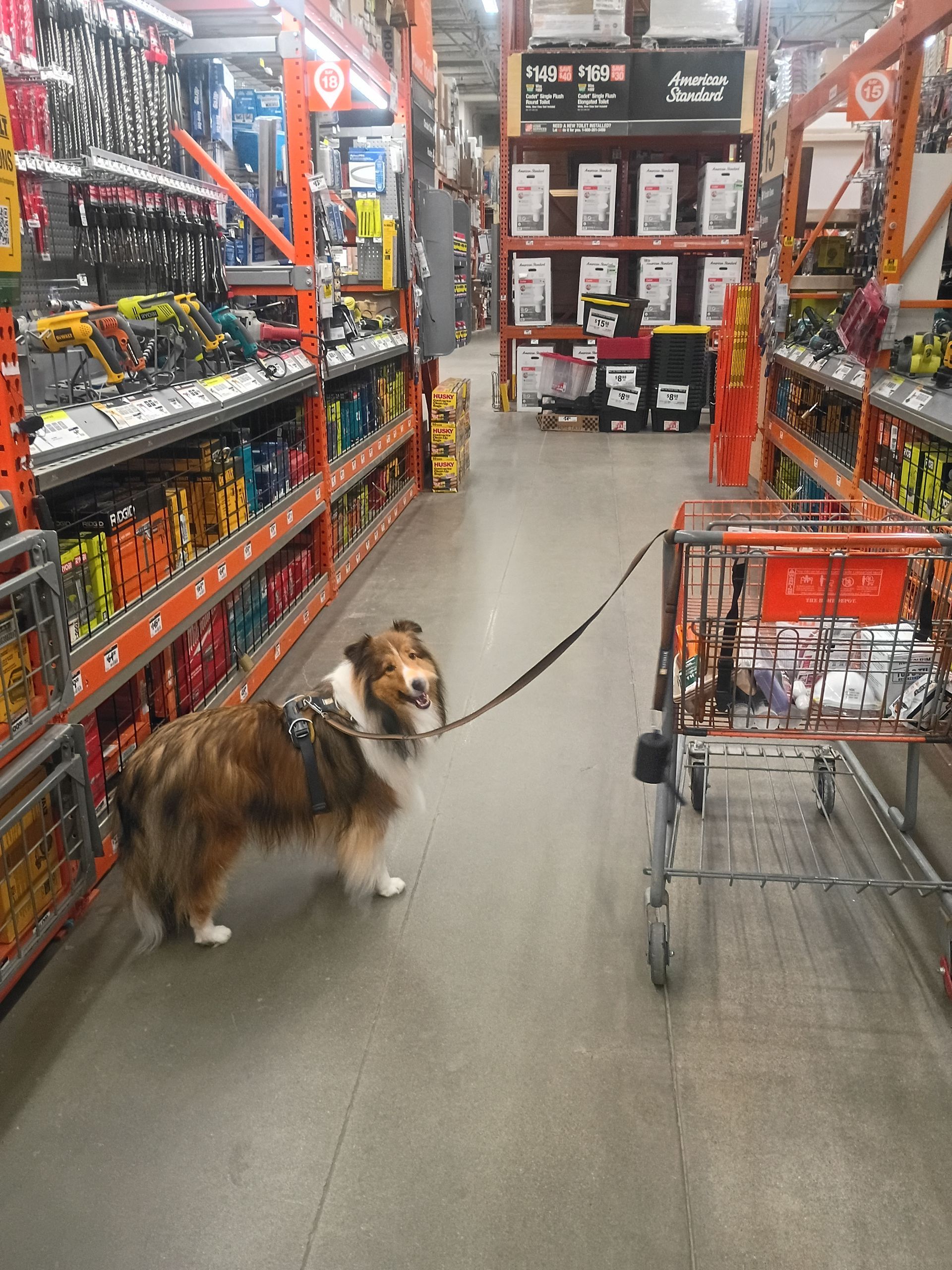 marin-county-handyman-services-gallery-image