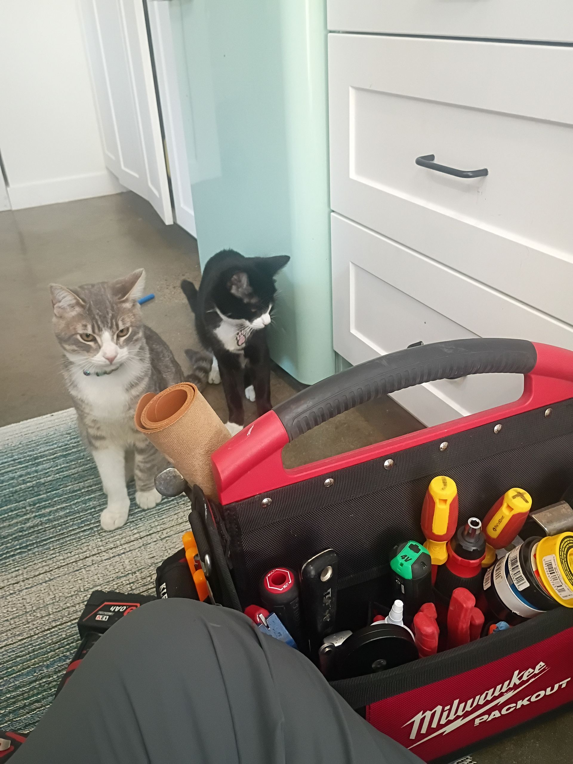 marin-county-handyman-services-gallery-image