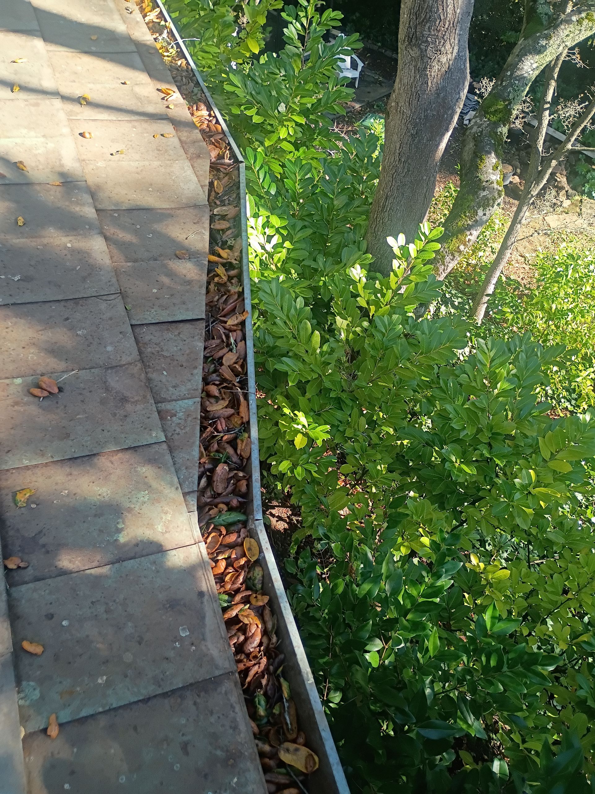 marin-county-handyman-services-gallery-image