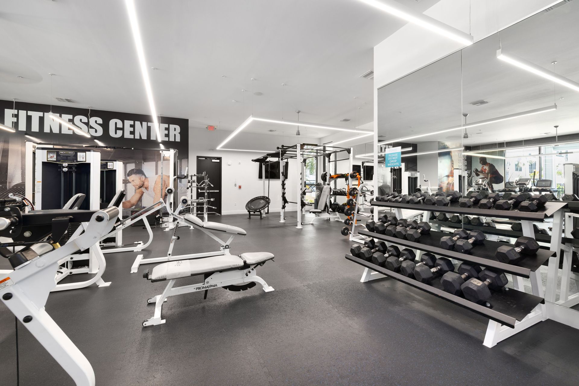 A gym with a lot of dumbbells and a bench.
