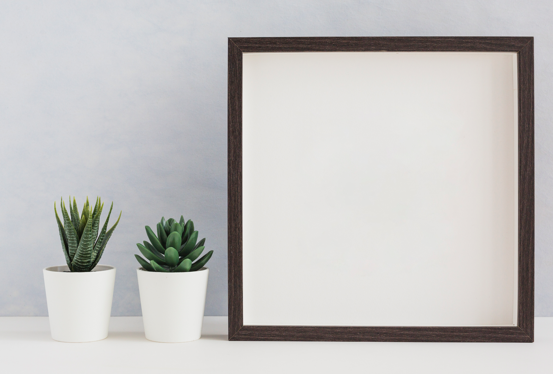 Two potted plants and a picture frame on a table.