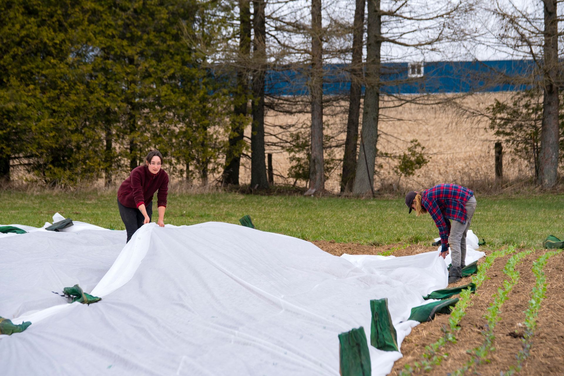 Landscape Fabric Installation — Oakland City, IN — Limitless Landscape Curbing