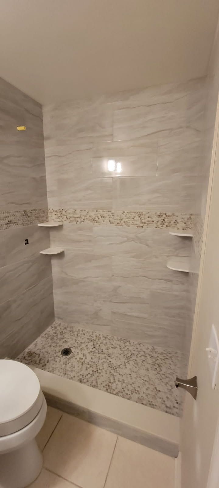 A bathroom with a toilet and a walk in shower.
