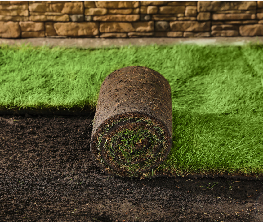 Long island landscaping sod application