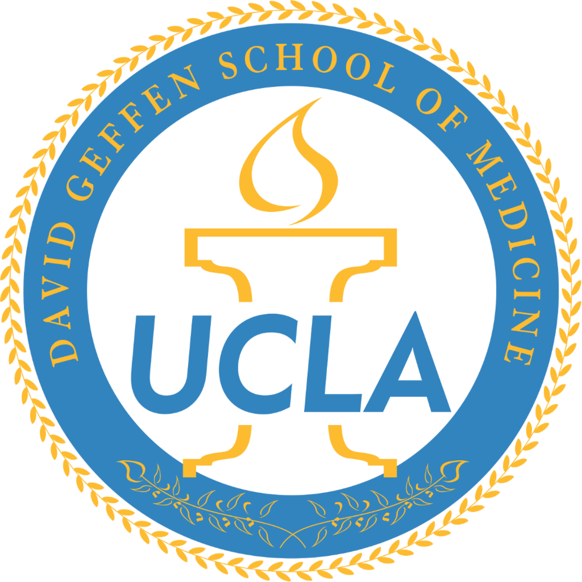The logo for the david geffen school of medicine