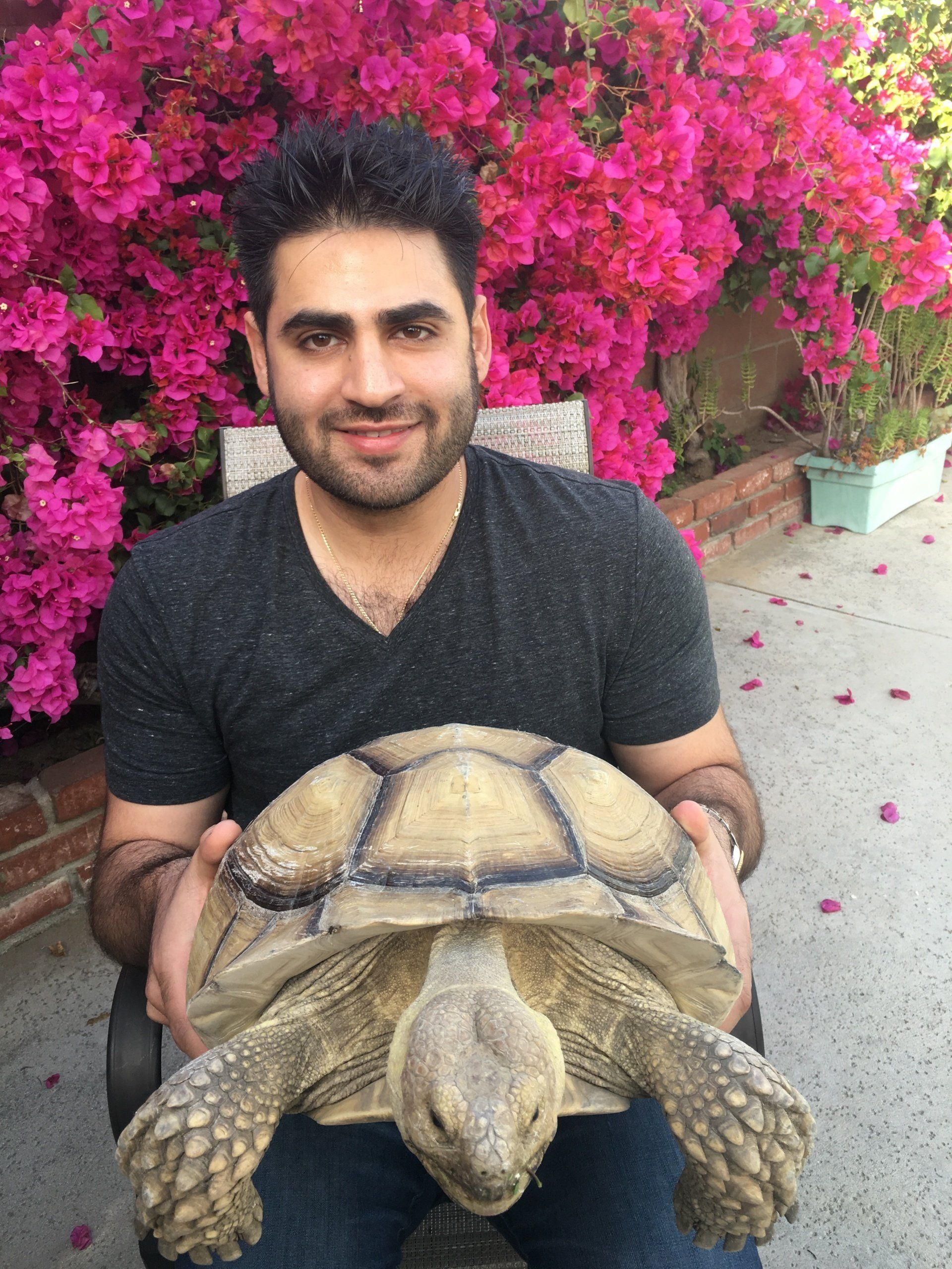 A man is holding a turtle in his hands while sitting in front of purple flowers.