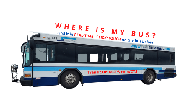 How to get to Camy's Caribbean Mart & Eatery in Lyndhurst by Bus?