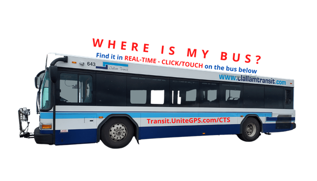 How to get to Camy's Caribbean Mart & Eatery in Lyndhurst by Bus?