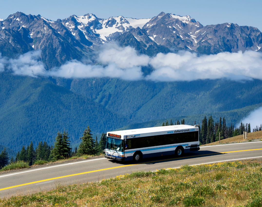 Bus traveling down Hurricane Ridge Road.