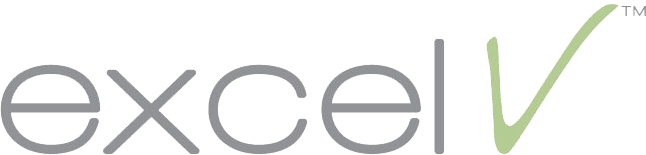 Excel V logo