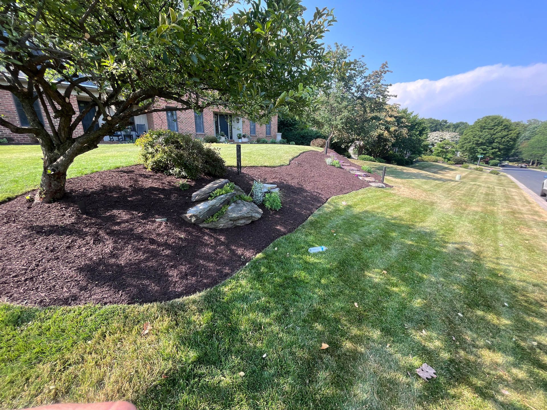 Brown mulch bed with large rocks and tree, bordered by green lawn, a house in the background.