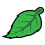 A green leaf with a black outline on a white background.