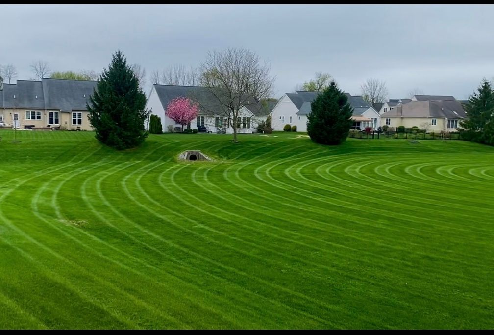 Lawn mowed in curved patterns in front of suburban houses on a cloudy day.