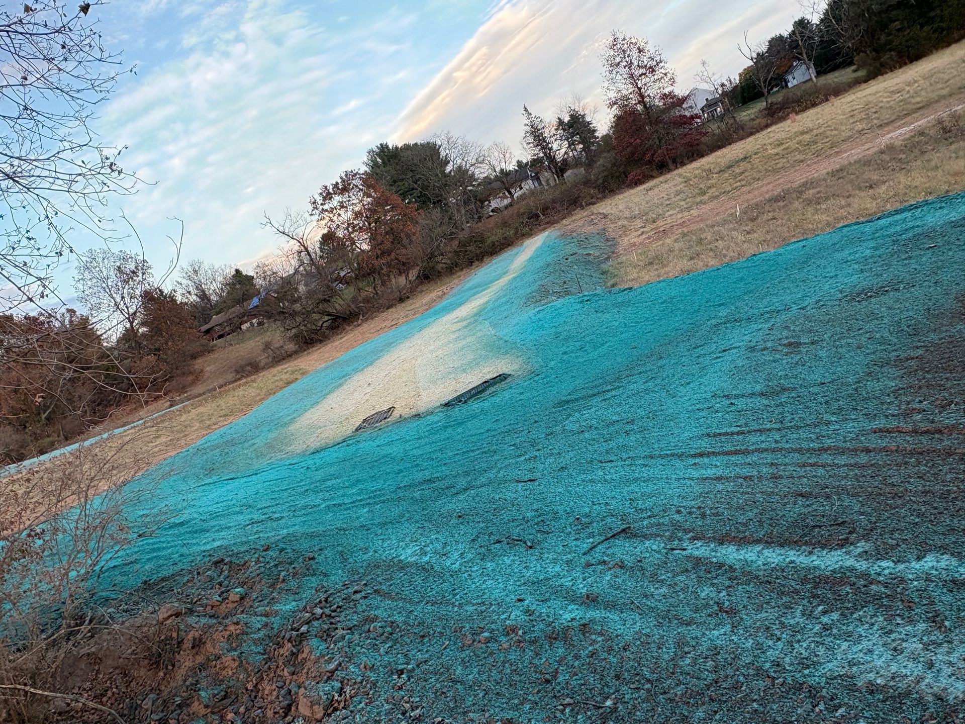 A person is spraying blue paint on a grassy hillside.