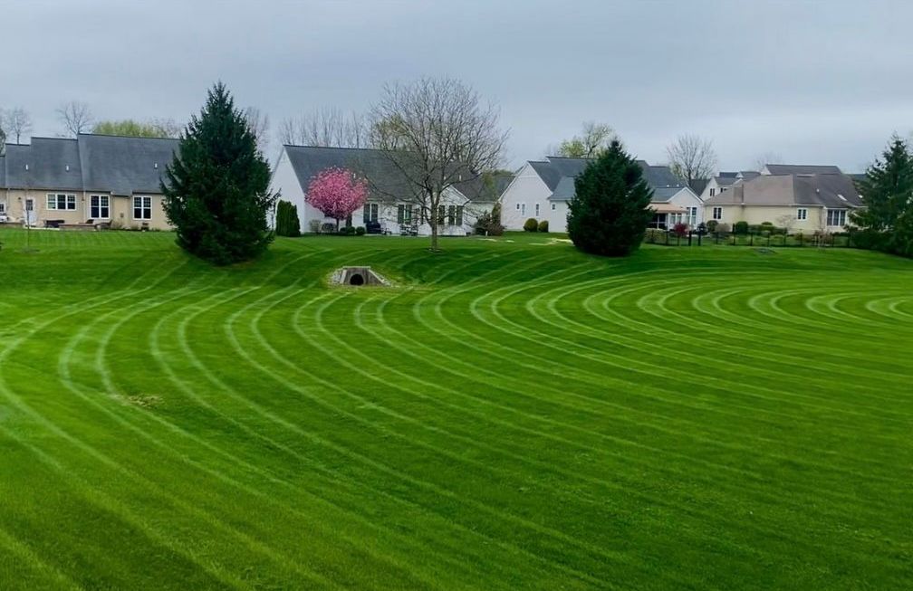 An aerial view of a lush green lawn with houses in the background.