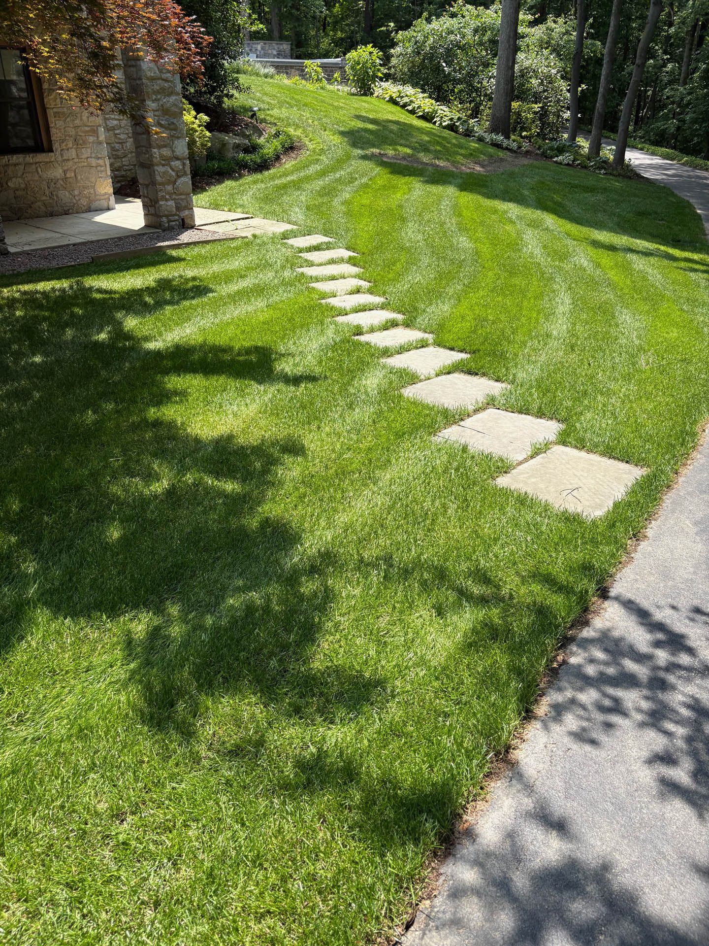 Green lawn with stepping stones, next to a paved driveway.