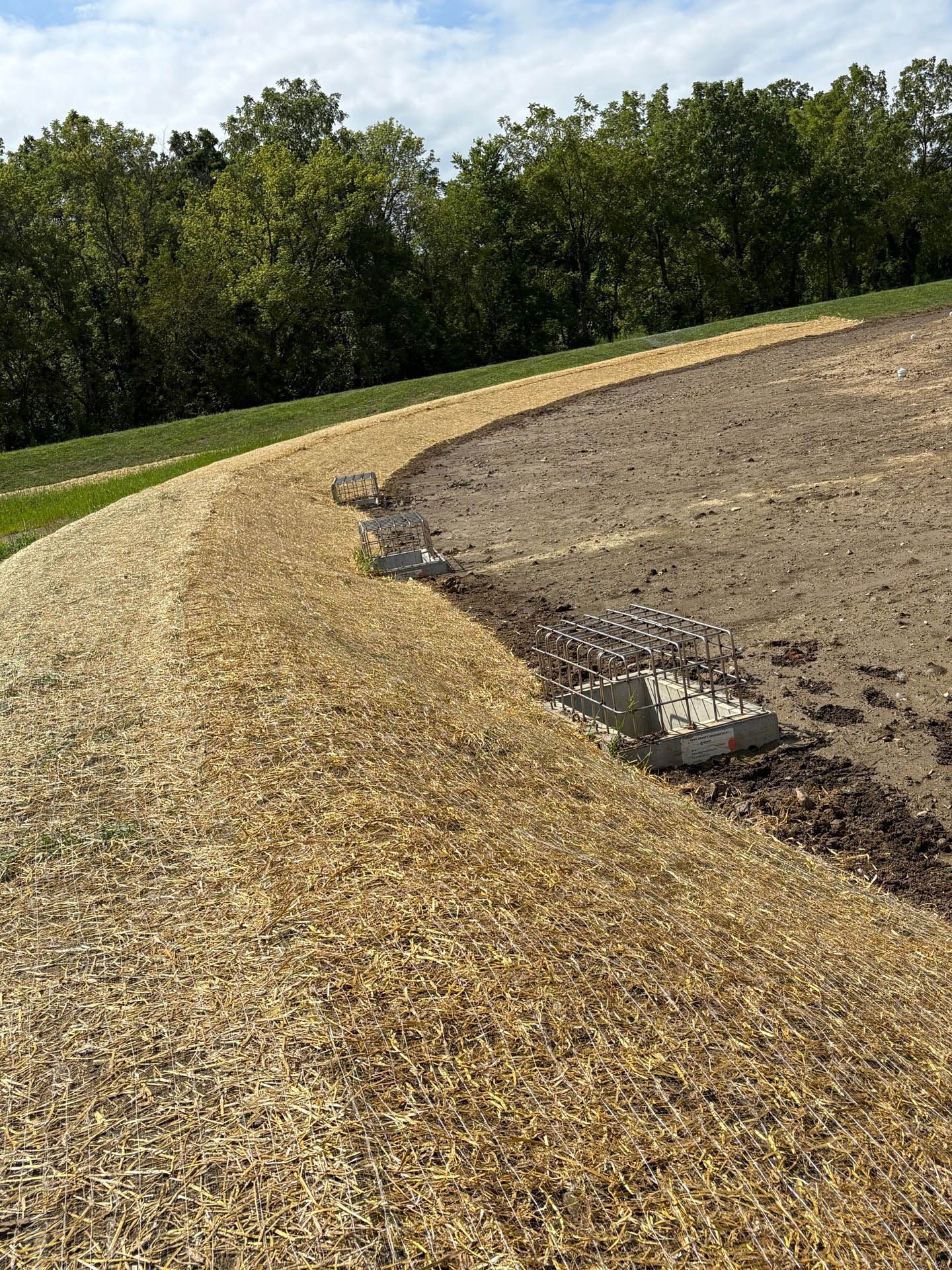 Curved path with wood chips beside a dry earth area, concrete blocks with rebar, trees in background.