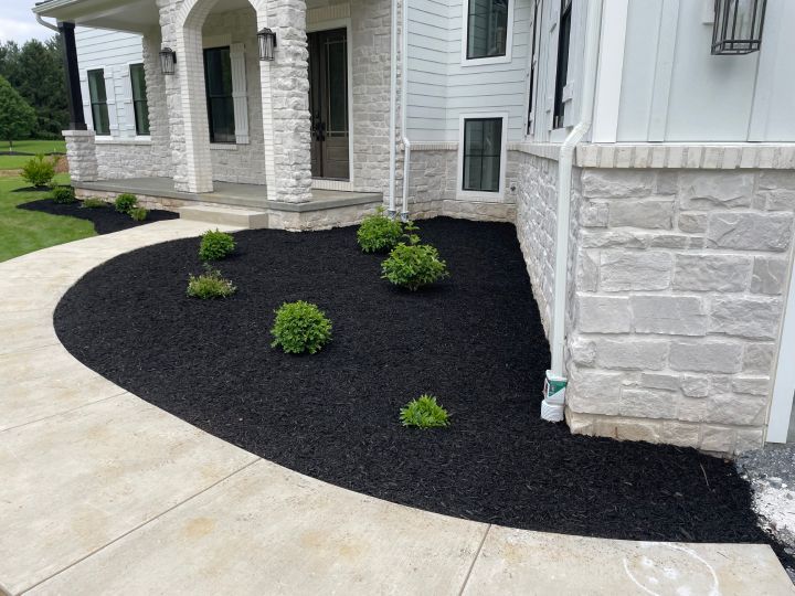 Dark mulch landscaping with green bushes and a concrete walkway in front of a white house.