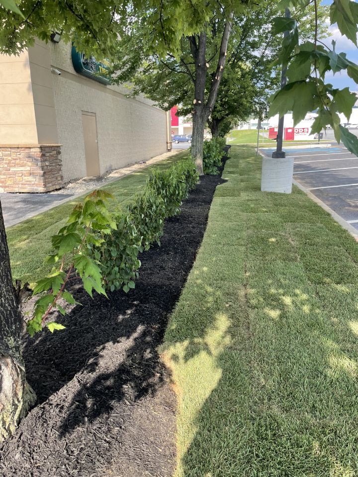 Fire pit with burning logs in front of a large house with a green lawn.