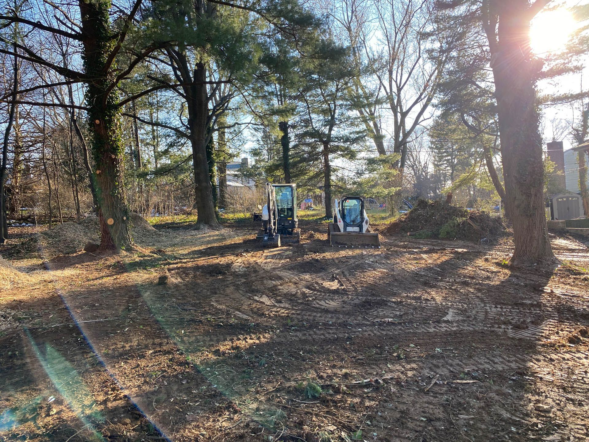 Two construction vehicles on a dirt lot surrounded by trees, bright sunlight.