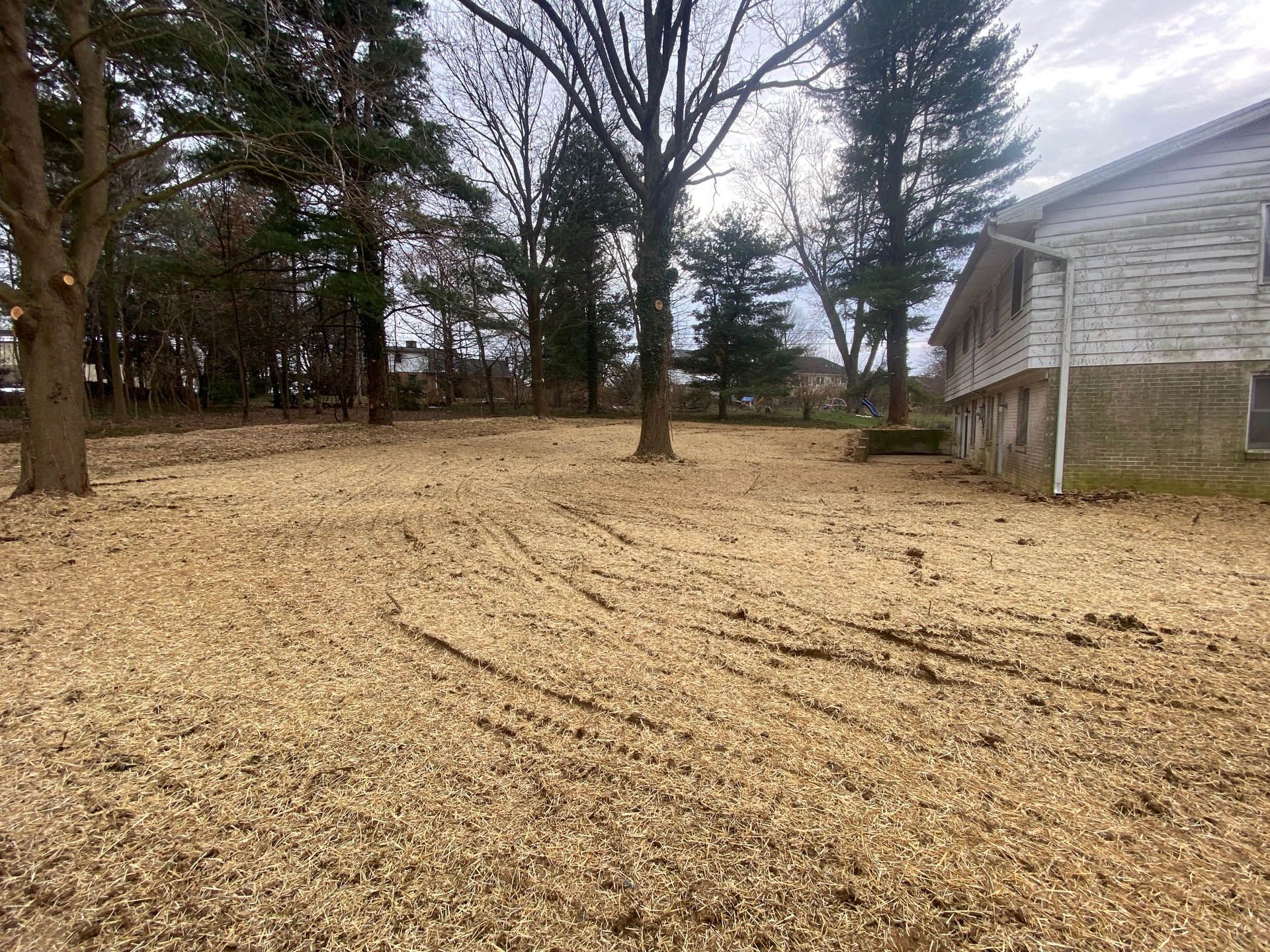 Blue-treated hillside, likely for erosion control, slopes up towards trees and a partly cloudy sky.