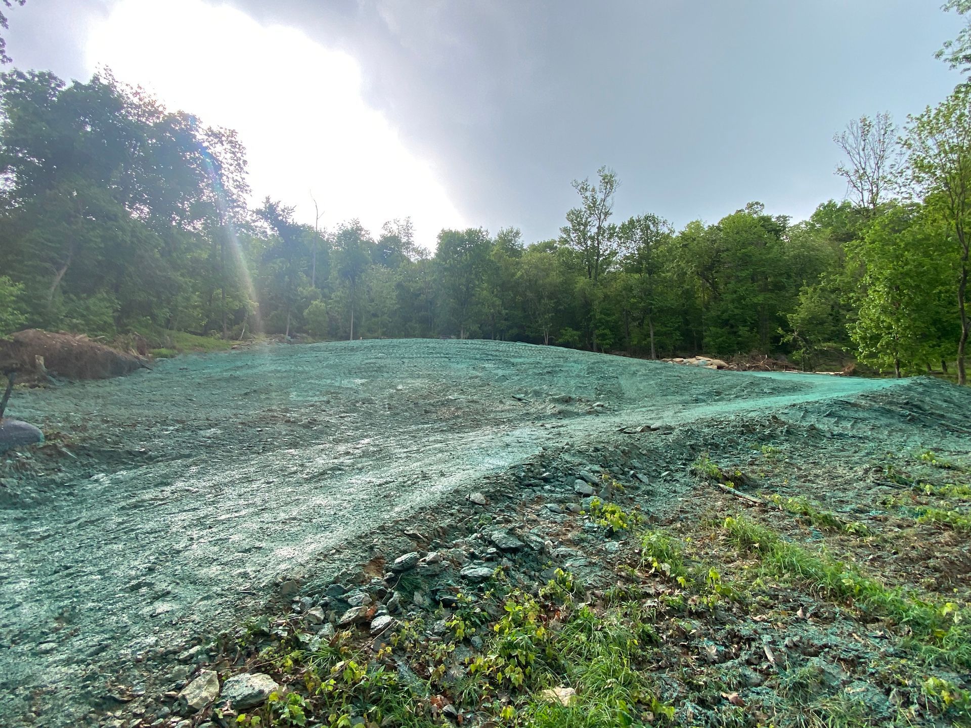 Green-covered soil, possibly treated, in a clearing, with trees in the background and cloudy sky.