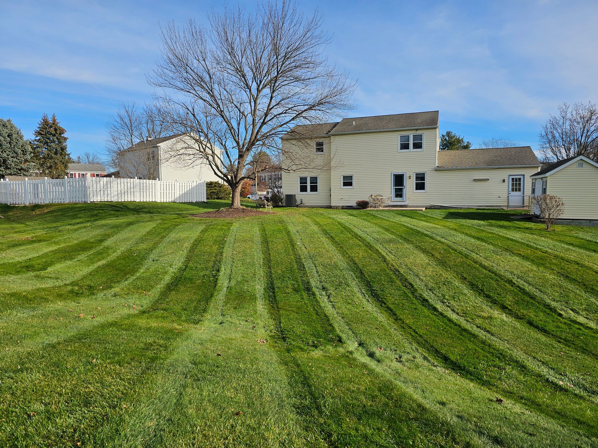 A large lawn with a house in the background and a tree in the middle.