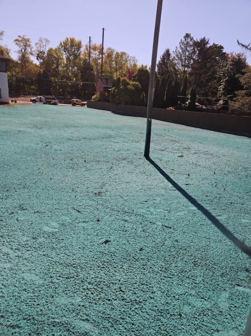 A teal-colored outdoor surface with a shadow cast by a pole, with trees and a building in the background.