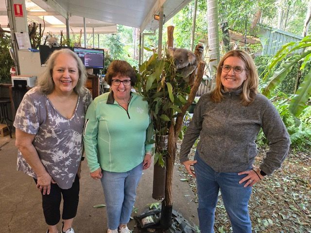 Three women standing near a tree with a koala, under a covered area with plants.