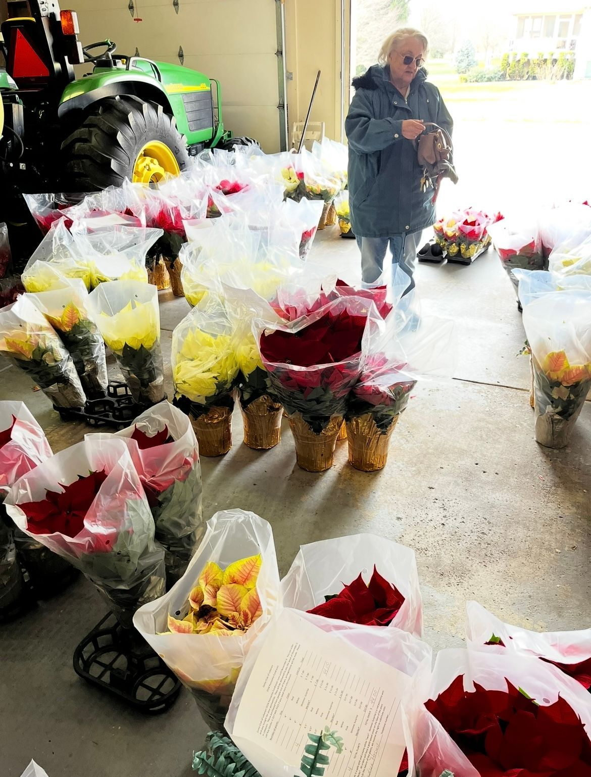 Woman arranging bouquets of roses in a garage with a tractor. Bundles of flowers, various colors.