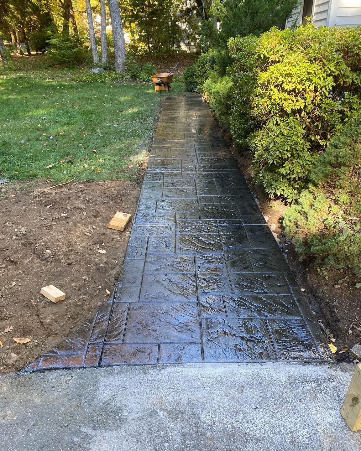 A concrete walkway leading to a house surrounded by trees and bushes.