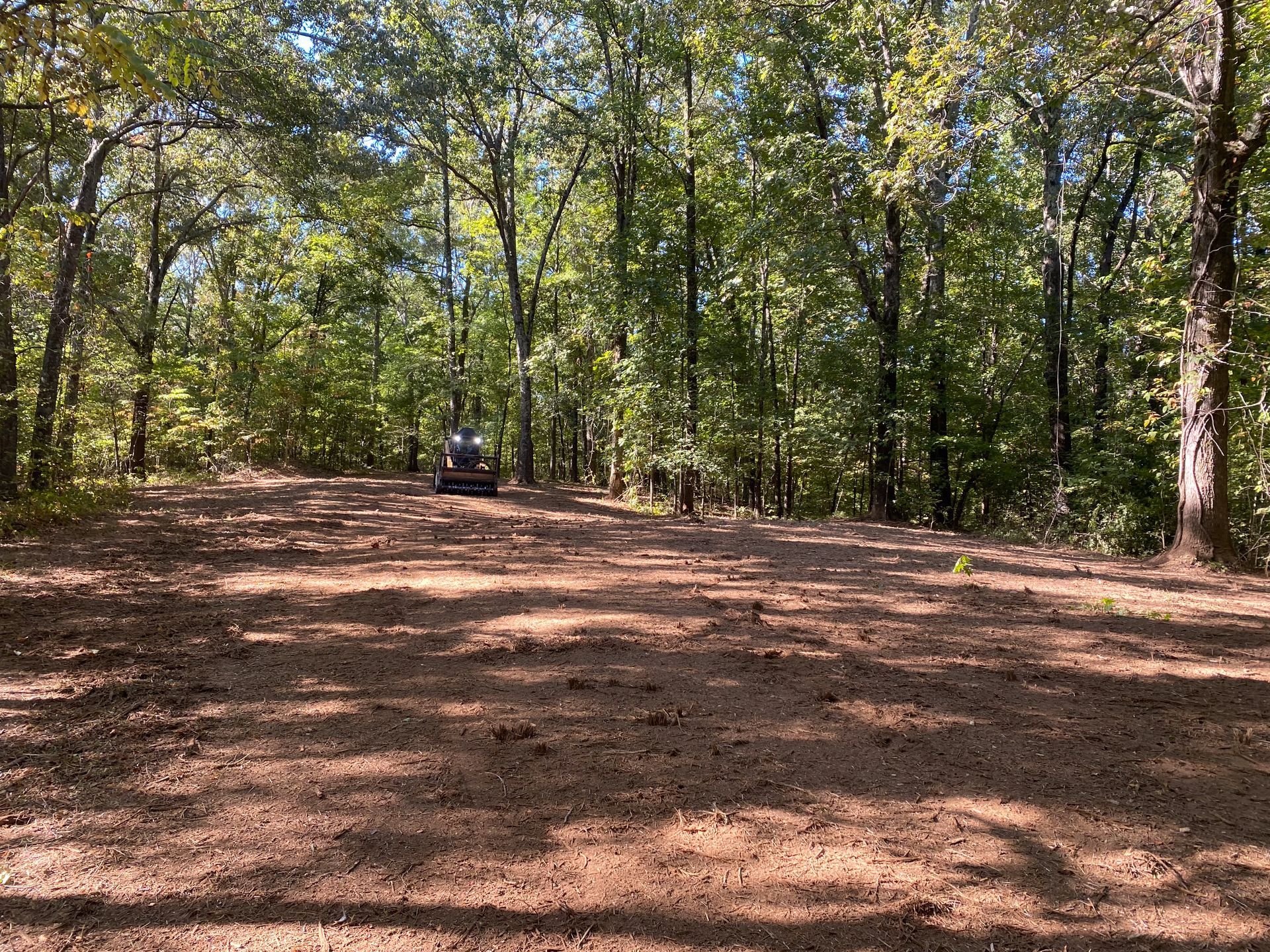An image of Forestry Mulching in Memphis TN