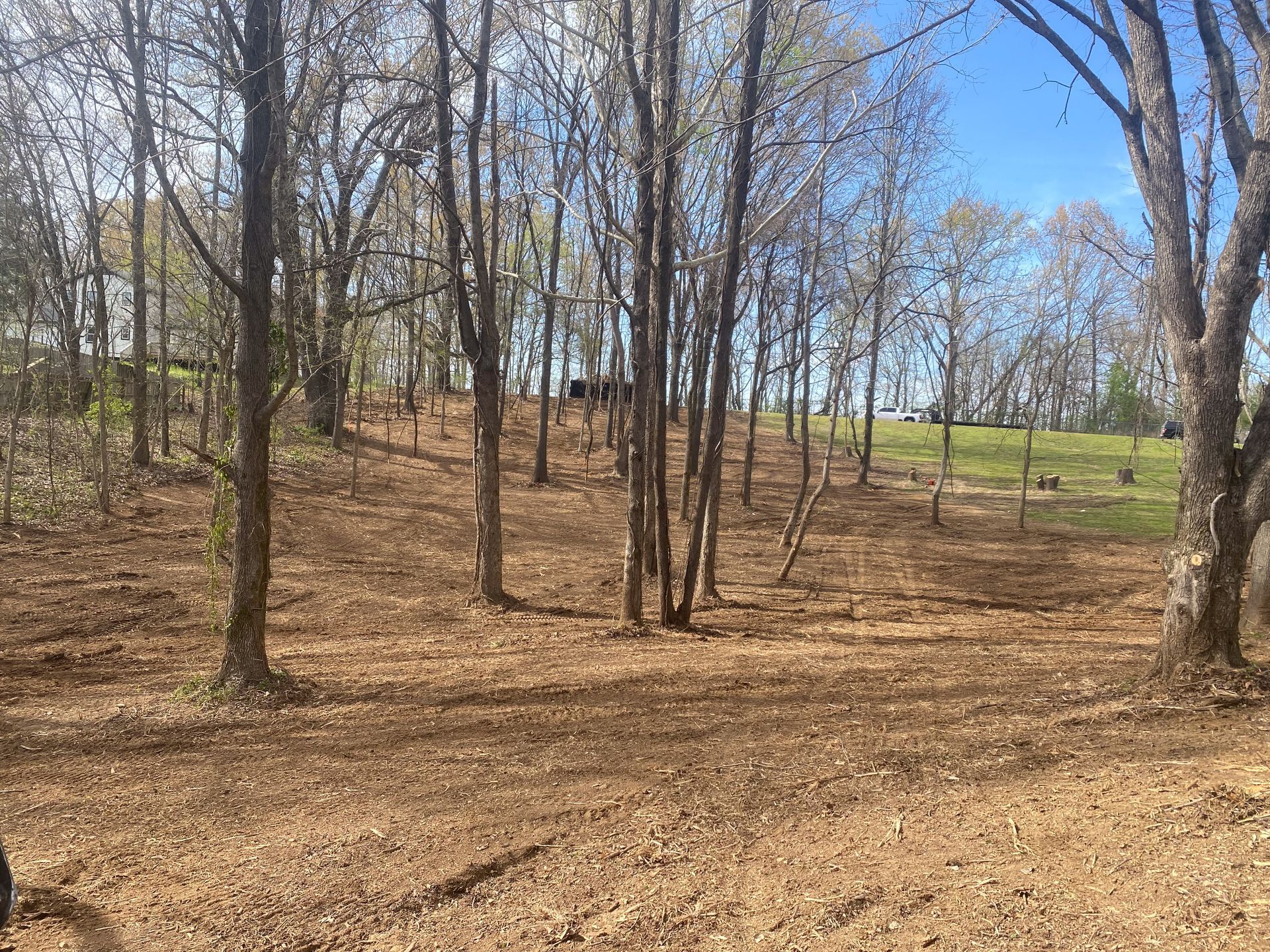 An image of Land Clearing in Memphis TN