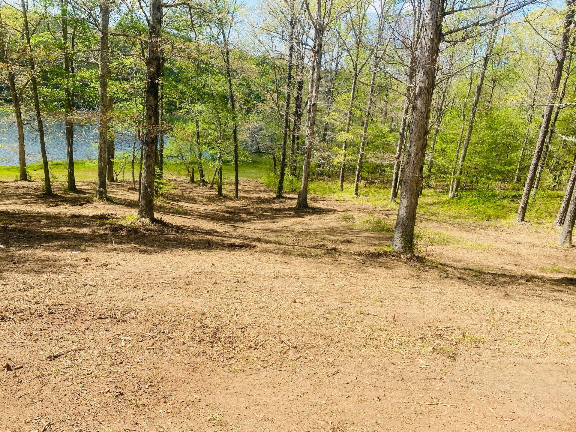 tipton county Land Management 