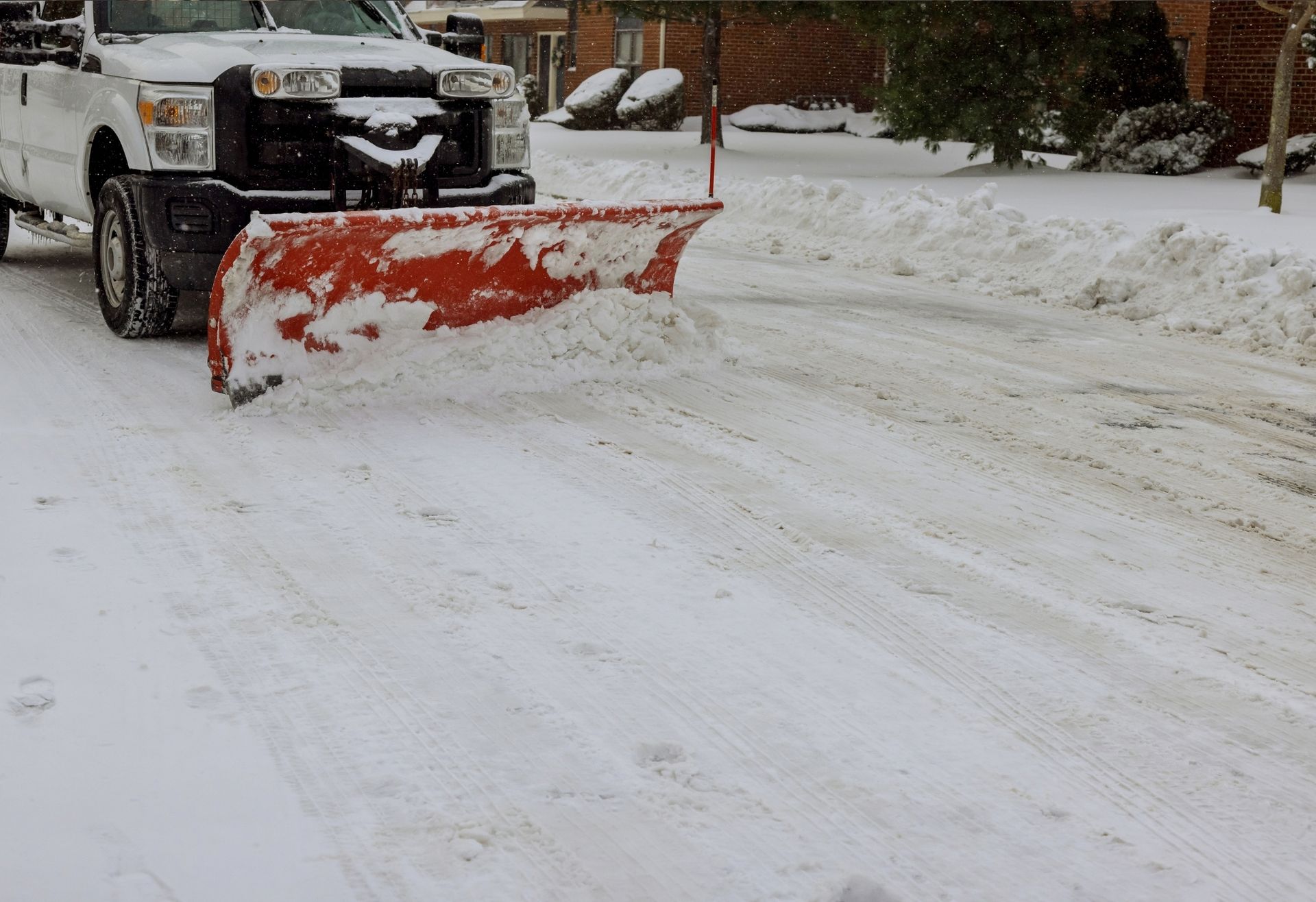 Vegetation and Brush Management in tipton county