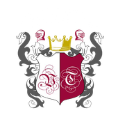 Vini Torino logo