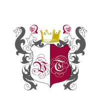 Vini Torino logo