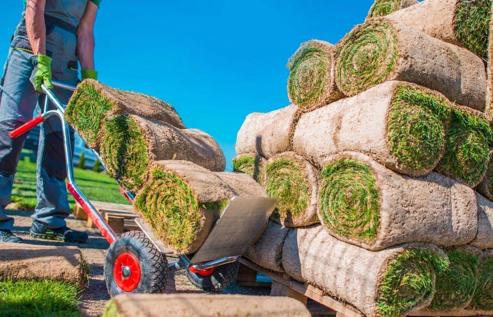 A Man Is Pushing A Wheelbarrow Full Of Rolls Of Grass — Barron River Lawns In Yungaburra, QLD