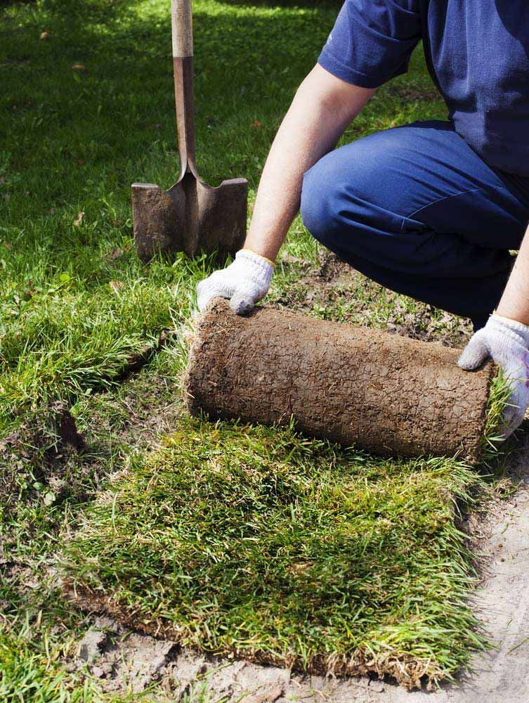 A Person Is Kneeling Down Holding A Roll Of Grass Next To A Shovel — Barron River Lawns In Port Douglas, QLD