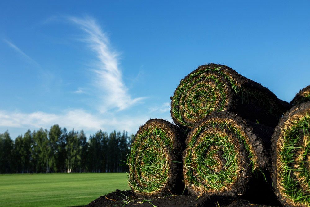 A Stack Of Turf Rolls Sitting On Top Of Each Other — Barron River Lawns In Atherton, QLD